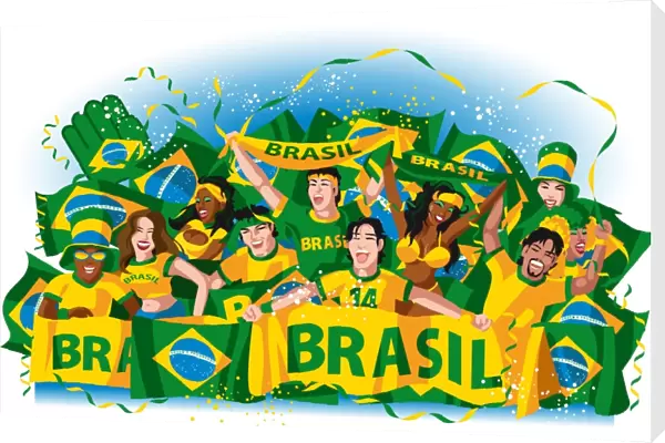 Brazil soccer fans