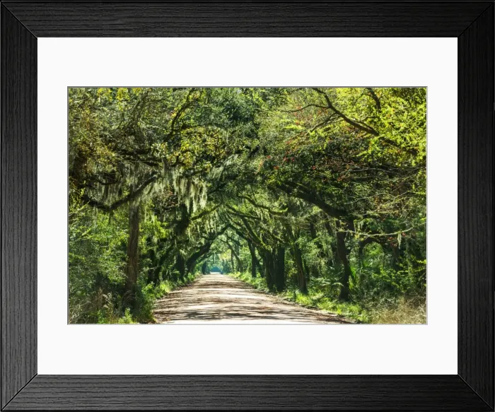 Framed Print : 57980979 Framed Print : 57980979