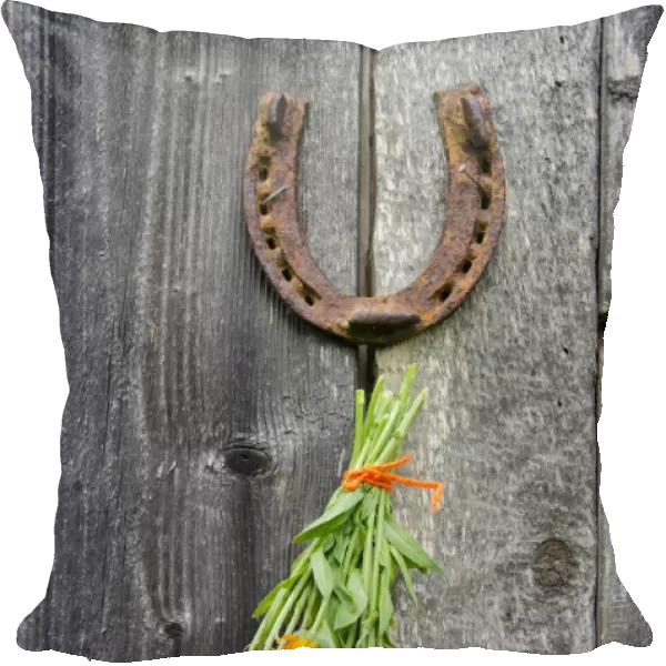rusty horseshoe and calendula herb bunch on wall