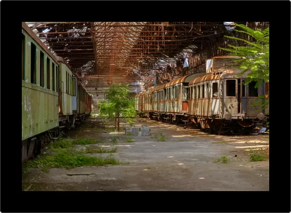 Cargo trains in old train depot