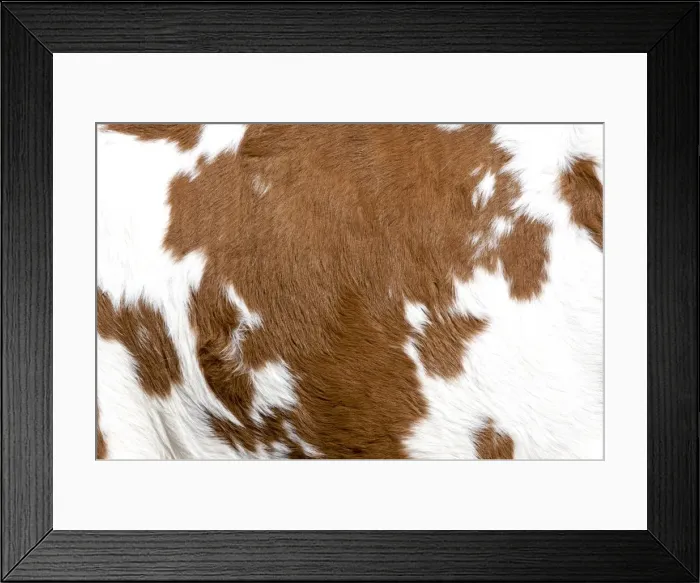 Framed Print : Cowhide. Cow texture Framed Print : Cowhide. Cow texture
