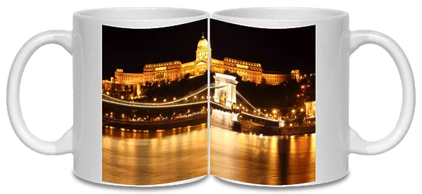 Budapest castle and chain bridge, Hungary