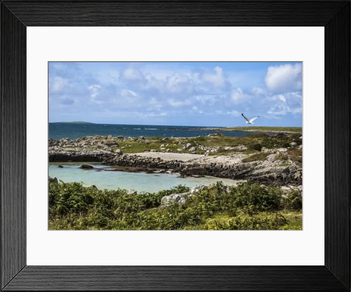 Framed Print : Turquoise beach and green field in Connemara Framed Print : Turquoise beach and green field in Connemara