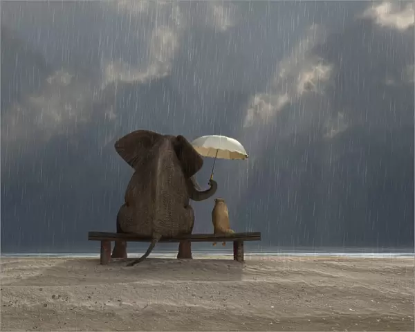 elephant and dog sit under the rain