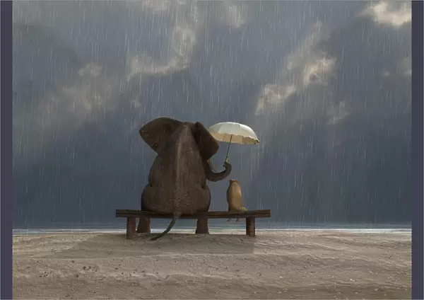 elephant and dog sit under the rain