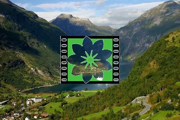 geirangerfjord. norwegen, norway, geiranger, geirangerfjord
