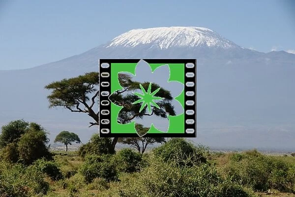 Kilimanjaro. kilimanjaro, kili, kenya, africa