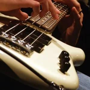 bass guitar bass guitar