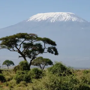 Kilimanjaro Kilimanjaro