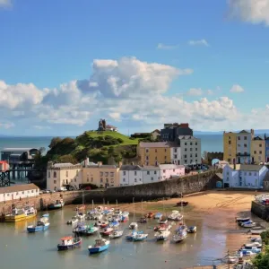 View of Tenby Harbour, with Castle Hill View of Tenby Harbour, with Castle Hill