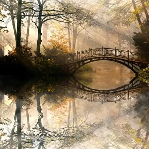 River Gallery: Autumn - Old bridge in autumn misty park