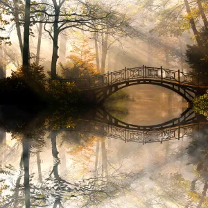 Autumn - Old bridge in autumn misty park