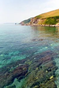 Clear blue sea Portwrinkle Cornwall