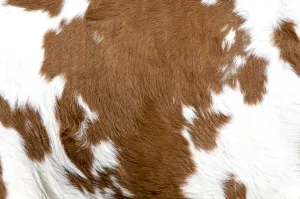 Cowhide