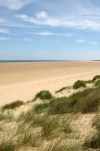 dunes holkham sands north norfolk