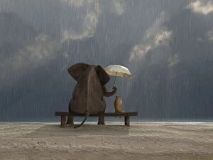 Water Collection: elephant and dog sit under the rain