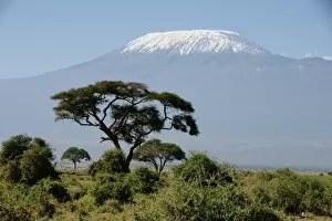 Fotolia Gallery: Kilimanjaro