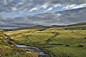 England Collection: Landscape in Beacon Brecons