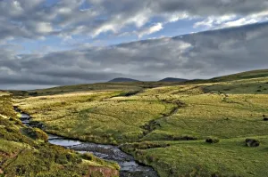 Landscape in Beacon Brecons