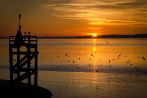 Sunset Gallery: Silloth Sunset