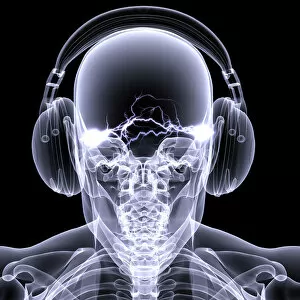 What's New: Skeleton X-Ray - DJ 3