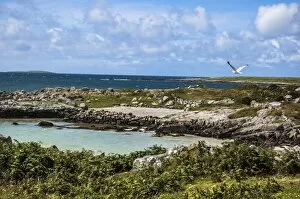 Scenic Gallery: Turquoise beach and green field in Connemara