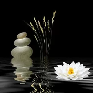 Water Collection: Zen Symbols